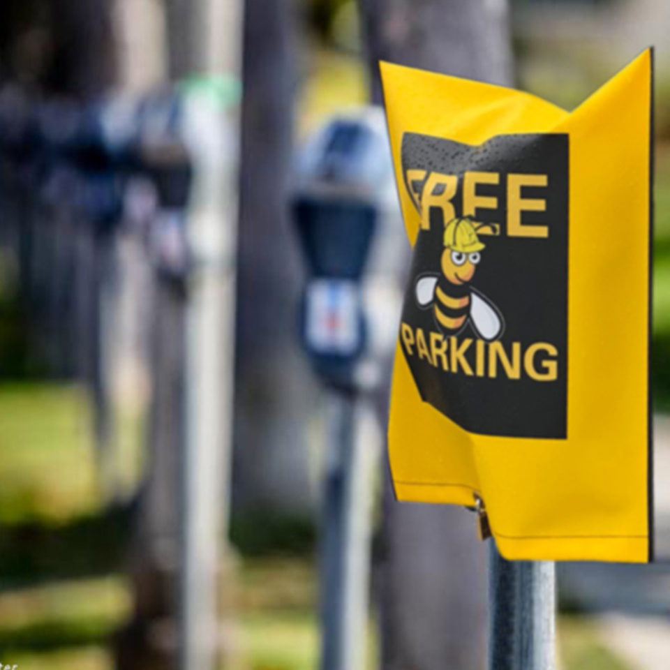 Buzz parking meter covers